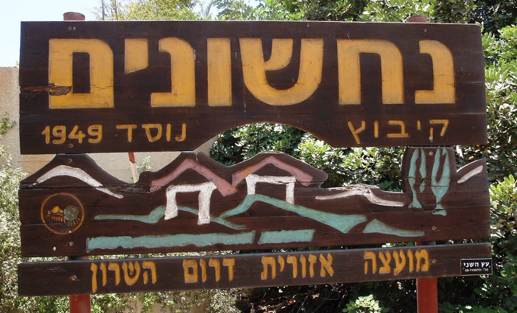 ניקוי מזגנים בנחשונים